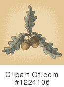 Acorn Clipart #1224106 by Any Vector
