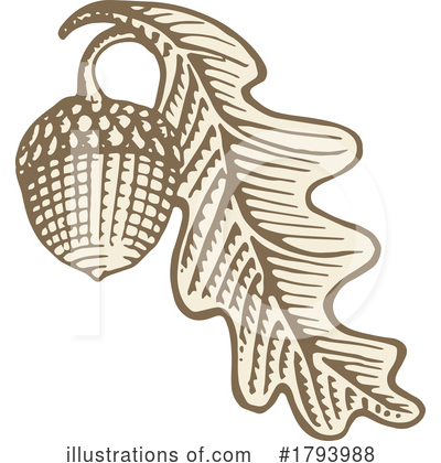 Royalty-Free (RF) Acorn Clipart Illustration by Any Vector - Stock Sample #1793988