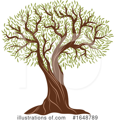 Olive Tree Clipart #1648789 by Vector Tradition SM