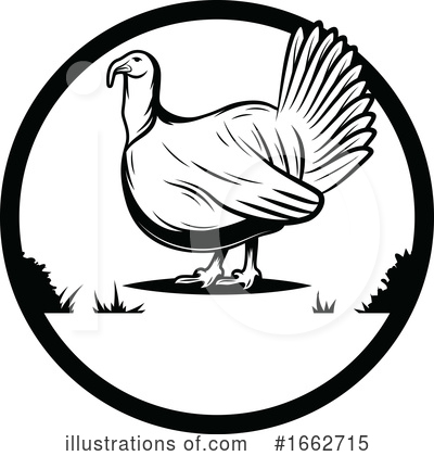 Turkey Bird Clipart #1662715 by Vector Tradition SM