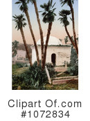 Algeria Clipart #1072834 by JVPD
