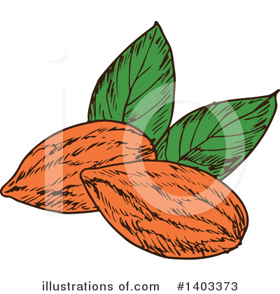 Royalty-Free (RF) Almond Clipart Illustration by Vector Tradition SM - Stock Sample #1403373