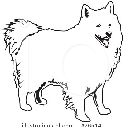 Royalty-Free (RF) American Eskimo Dog Clipart Illustration by David Rey - Stock Sample #26514