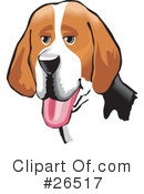 American Foxhound Clipart #26517 by David Rey