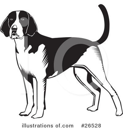 Royalty-Free (RF) American Foxhound Clipart Illustration by David Rey - Stock Sample #26528