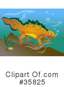 Amphibian Clipart #35825 by Prawny