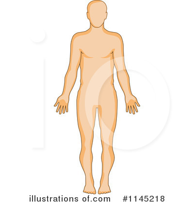 Royalty-Free (RF) Anatomy Clipart Illustration by patrimonio - Stock Sample #1145218