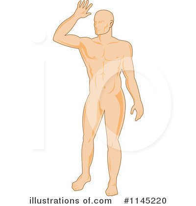 Royalty-Free (RF) Anatomy Clipart Illustration by patrimonio - Stock Sample #1145220