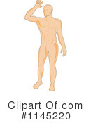 Anatomy Clipart #1145220 by patrimonio