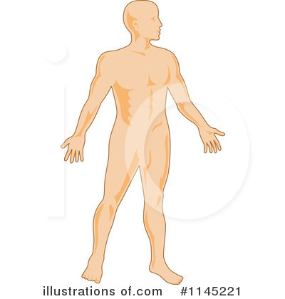 Royalty-Free (RF) Anatomy Clipart Illustration by patrimonio - Stock Sample #1145221