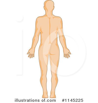Royalty-Free (RF) Anatomy Clipart Illustration by patrimonio - Stock Sample #1145225