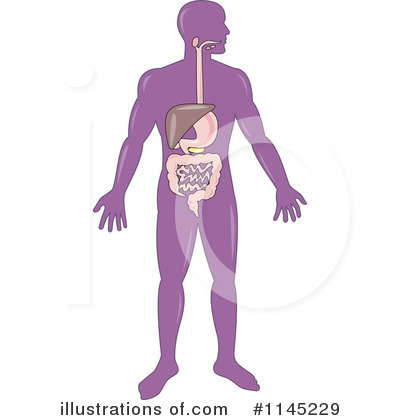 Royalty-Free (RF) Anatomy Clipart Illustration by patrimonio - Stock Sample #1145229