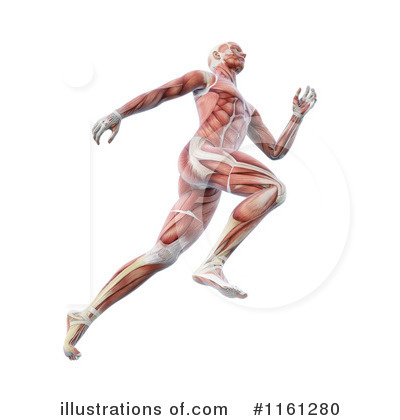 Royalty-Free (RF) Anatomy Clipart Illustration by Mopic - Stock Sample #1161280