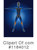 Anatomy Clipart #1184012 by KJ Pargeter