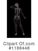 Anatomy Clipart #1188448 by KJ Pargeter