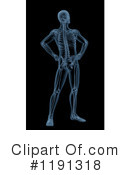 Anatomy Clipart #1191318 by KJ Pargeter