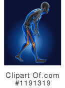 Anatomy Clipart #1191319 by KJ Pargeter