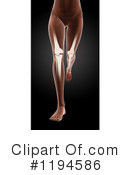 Anatomy Clipart #1194586 by KJ Pargeter