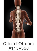 Anatomy Clipart #1194588 by KJ Pargeter