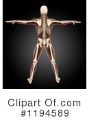 Anatomy Clipart #1194589 by KJ Pargeter
