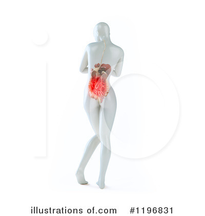 Royalty-Free (RF) Anatomy Clipart Illustration by Mopic - Stock Sample #1196831