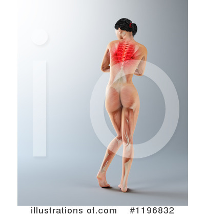 Spine Clipart #1196832 by Mopic