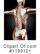 Anatomy Clipart #1199121 by KJ Pargeter