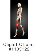 Anatomy Clipart #1199122 by KJ Pargeter