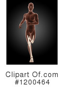 Anatomy Clipart #1200464 by KJ Pargeter