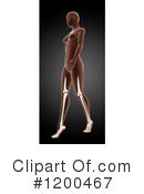 Anatomy Clipart #1200467 by KJ Pargeter
