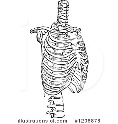 Royalty-Free (RF) Anatomy Clipart Illustration by Prawny Vintage - Stock Sample #1208878