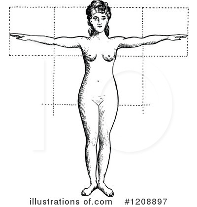 Human Anatomy Clipart #1208897 by Prawny Vintage