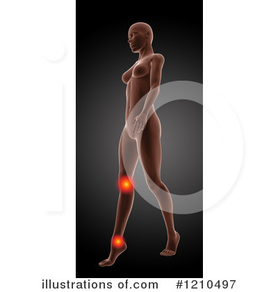 Knees Clipart #1210497 by KJ Pargeter