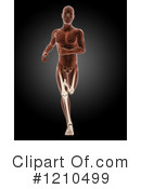 Anatomy Clipart #1210499 by KJ Pargeter