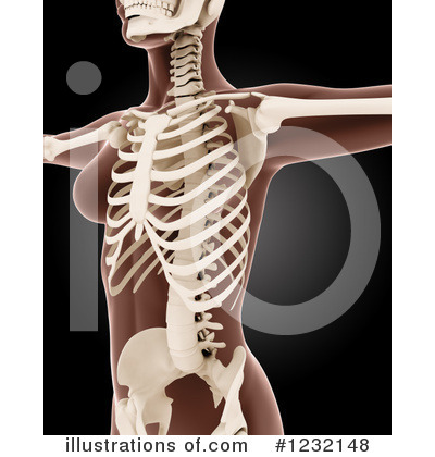 Royalty-Free (RF) Anatomy Clipart Illustration by KJ Pargeter - Stock Sample #1232148
