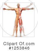 Anatomy Clipart #1253846 by Mopic