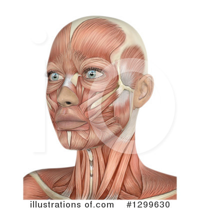 Royalty-Free (RF) Anatomy Clipart Illustration by KJ Pargeter - Stock Sample #1299630