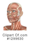 Anatomy Clipart #1299630 by KJ Pargeter