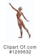 Anatomy Clipart #1299632 by KJ Pargeter