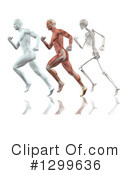 Anatomy Clipart #1299636 by KJ Pargeter