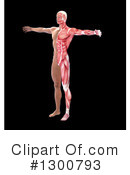 Anatomy Clipart #1300793 by Mopic