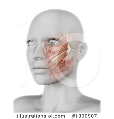 Royalty-Free (RF) Anatomy Clipart Illustration by KJ Pargeter - Stock Sample #1300907