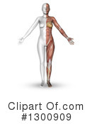 Anatomy Clipart #1300909 by KJ Pargeter