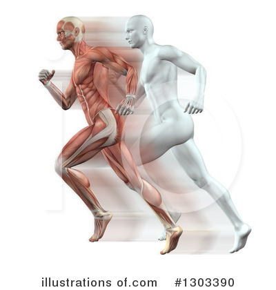 Muscle Clipart #1303390 by KJ Pargeter