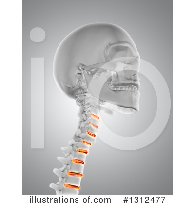 Neck Clipart #1312477 by KJ Pargeter