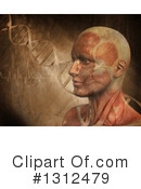 Anatomy Clipart #1312479 by KJ Pargeter