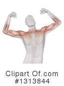 Anatomy Clipart #1313844 by KJ Pargeter