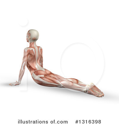 Royalty-Free (RF) Anatomy Clipart Illustration by KJ Pargeter - Stock Sample #1316398