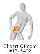Anatomy Clipart #1316402 by KJ Pargeter