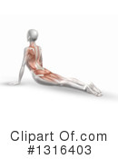 Anatomy Clipart #1316403 by KJ Pargeter